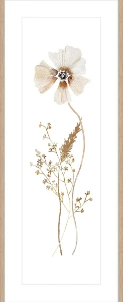 Clearance Kunstdruck WILD FLOWERS II Kunstdrucke