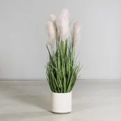 Online Kunstopflanze PAMPASGRAS Pflanzen