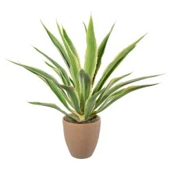 Kunstpflanze Agave Pflanzen