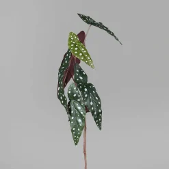 Sale Kunstpflanze Blatt Begonie Pflanzen