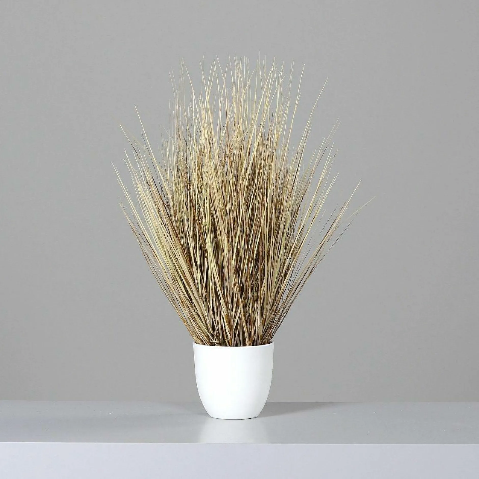 New Kunstpflanze CALIFORNIA GRAS Pflanzen