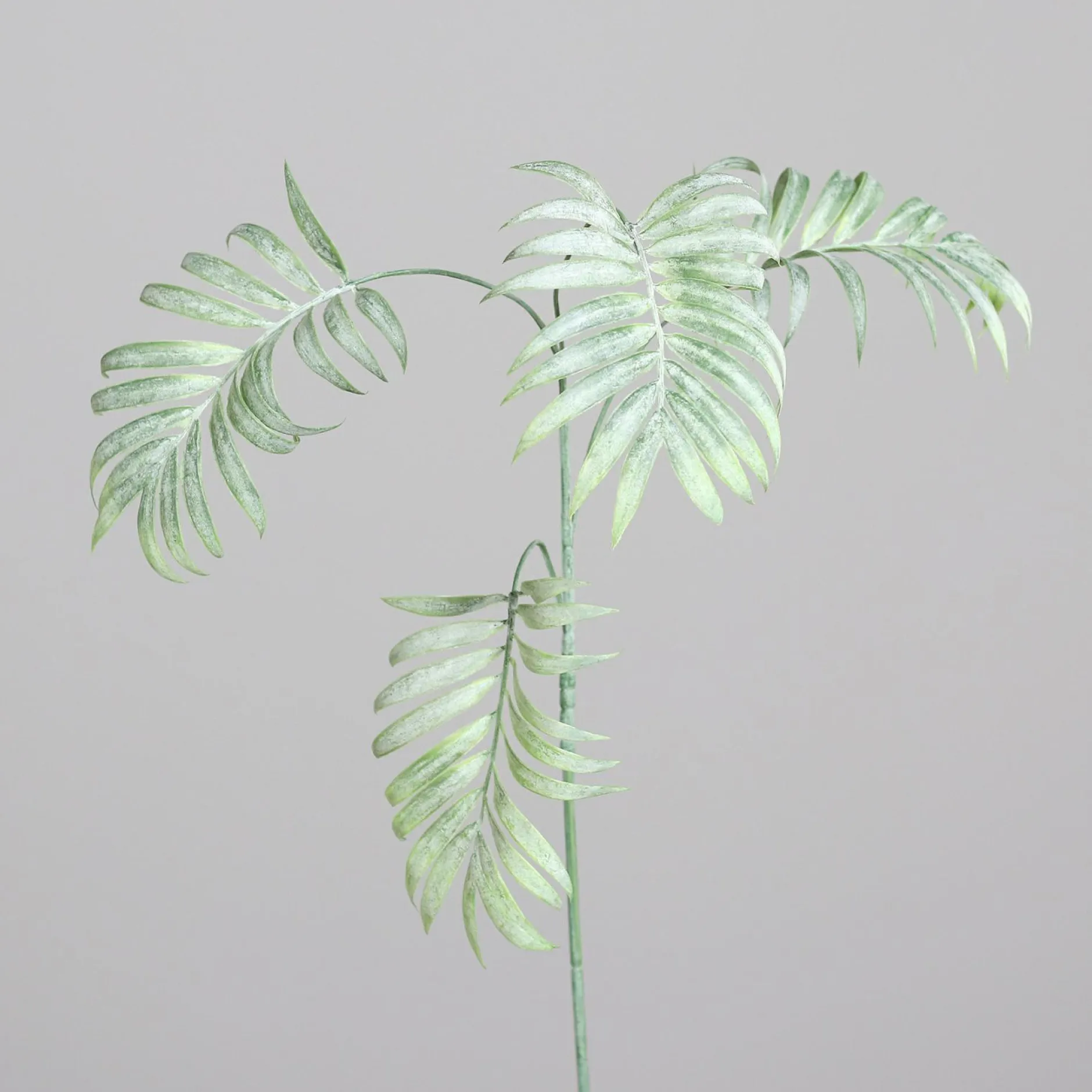 Best Kunstpflanze Chico-Zweig Pflanzen