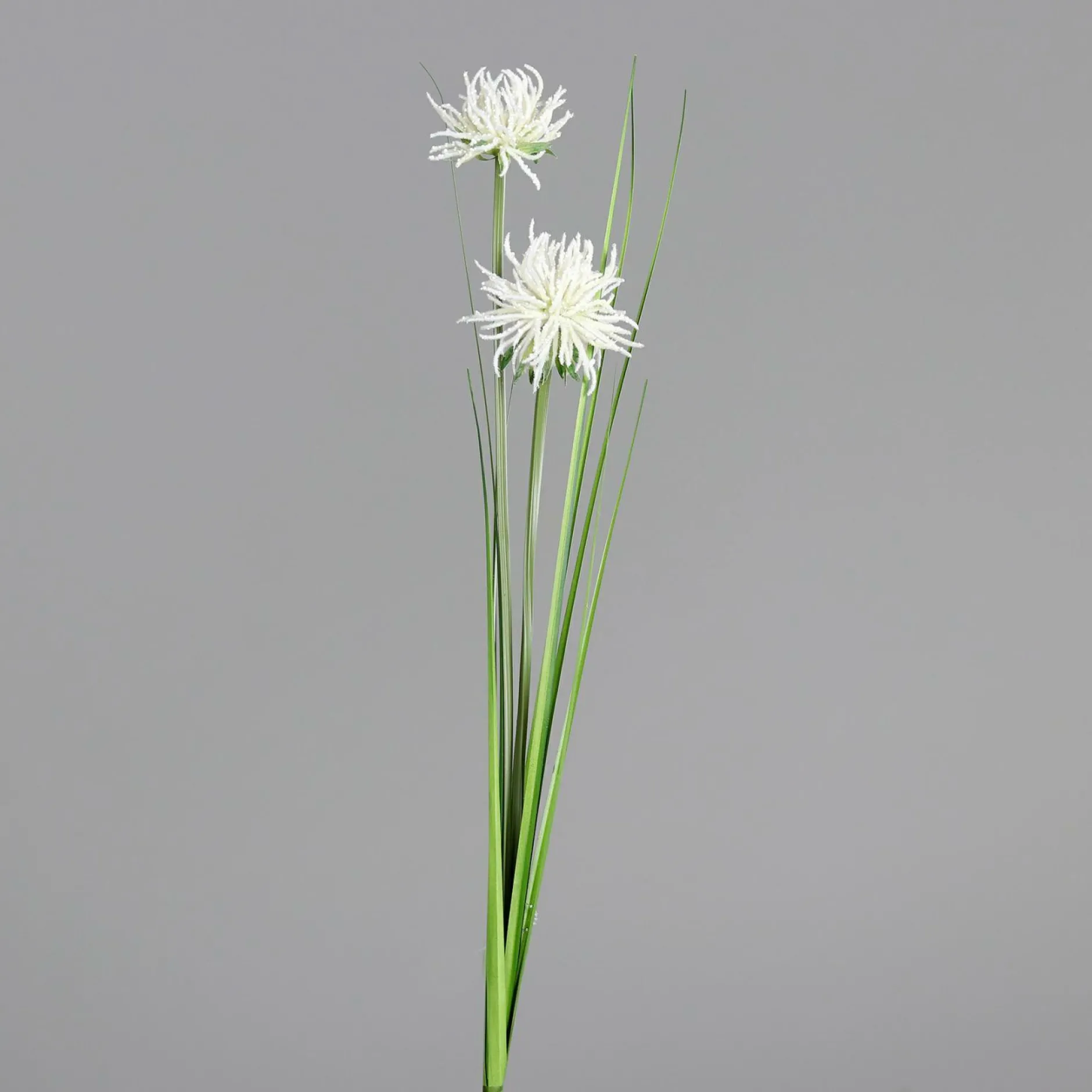 Best Kunstpflanze FRUCHTSTAND Pflanzen