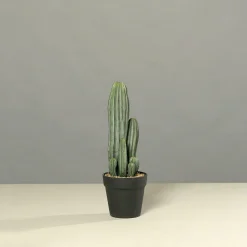 Kunstpflanze Kaktus Pflanzen