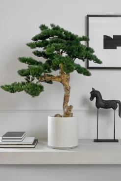 New Kunstpflanze Kiefer-Bonsai Pflanzen