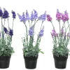 Discount Kunstpflanze LAVENDEL Pflanzen