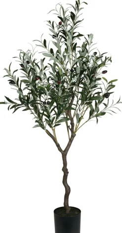 Best Kunstpflanze Olivenbaum Pflanzen