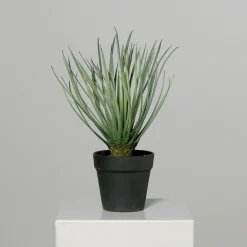 Clearance Kunstpflanze Palme Pflanzen