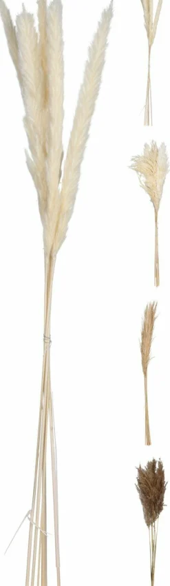 Hot Kunstpflanze Pampasgras Pflanzen