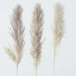 Online Kunstpflanze PAMPASGRAS Pflanzen