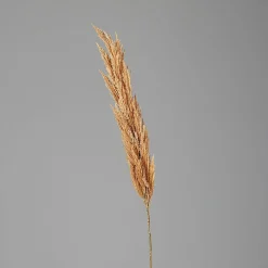 Sale Kunstpflanze PAMPASWEDEL Pflanzen