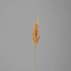 Discount Kunstpflanze PAMPASWEDEL Pflanzen