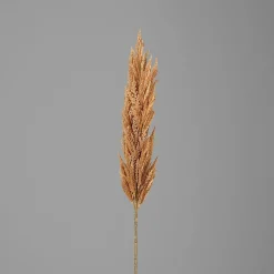 Hot Kunstpflanze PAMPASWEDEL Pflanzen