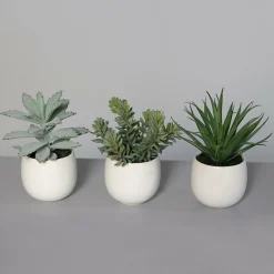 Hot Kunstpflanze SUKKULENTE Pflanzen