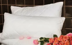 Online Kuschelkissen FAMOUS Kopfkissen|Kissen