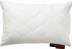 Clearance Kuschelkissen ROYAL Kopfkissen|Kissen