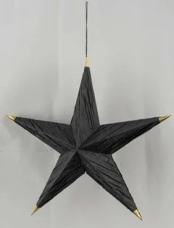 Online Papierstern Black Forest