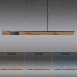 Discount Pendelleuchte PURE MOTO-RISE Pendelleuchten|Pendelleuchten