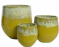 Sale Pflanztopf Noah Pflanz- Und Übertöpfe