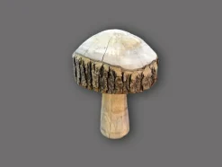 Best Pilz mit Rinde Pflanzen