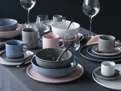 Online Poke BOWL SESSION Schüsseln