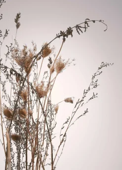 Best Posterboard 1617 Poster & Drucke|Kunstdrucke