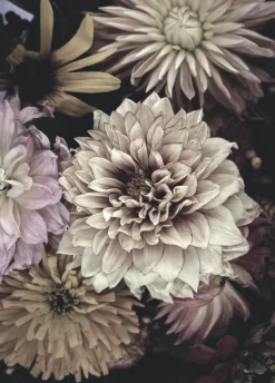 Discount Posterboard OPLULENT 5 Poster & Drucke|Kunstdrucke