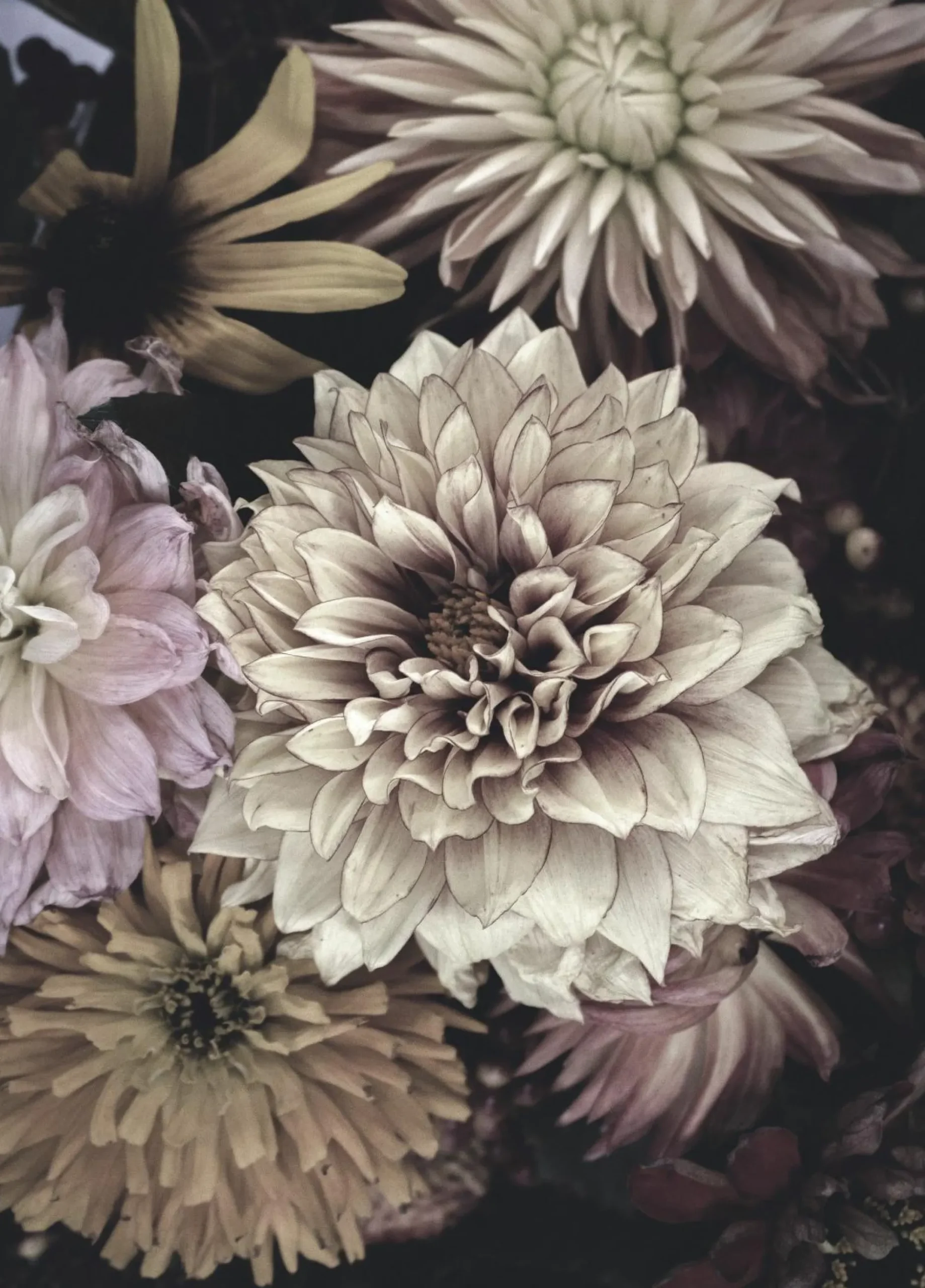 Discount Posterboard OPLULENT 5 Poster & Drucke|Kunstdrucke