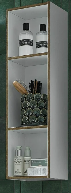 Clearance Regal Badregale