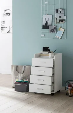 Online Rollcontainer Container|Container