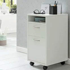 Clearance Rollcontainer Container|Container