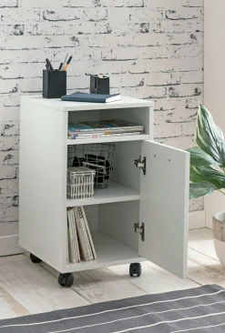 Clearance Rollcontainer Container|Container