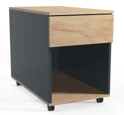 Clearance Rollcontainer DALOSA Container|Container