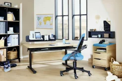 Rollcontainer 2S Container|Container