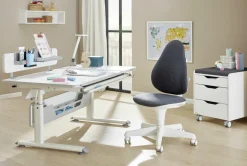 Sale Rollcontainer 2S Container|Container