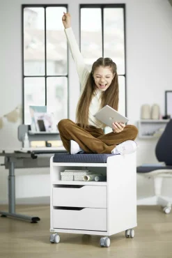 Sale Rollcontainer 2S Container|Container