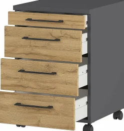 Online Rollcontainer PROFI 2.0 Container|Container