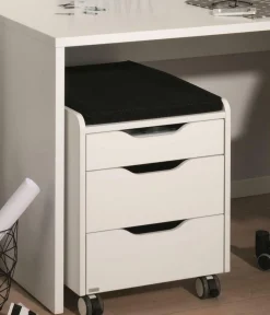 Online Rollcontainer 3S Container|Container