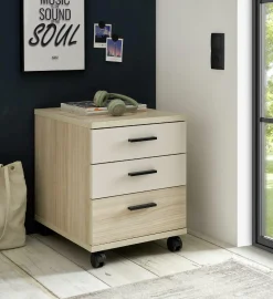 Rollcontainer ASSUME Container|Container