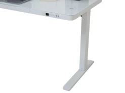 Discount Schreibtisch ALTBASSAR Schreibtische|Schreibtische