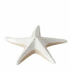 Online Seestern SHELBY Dekoration