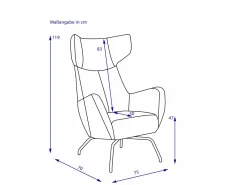 Outlet Sessel CARRY Einzel- & Loungesessel