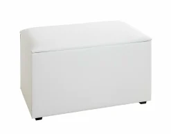 New Sitztruhe Truhen & Bänke