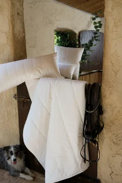 Sommerbett ORGANIC COTTON Bettdecken|Bettdecken