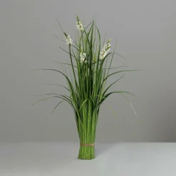 Outlet Stehgras grün Pflanzen