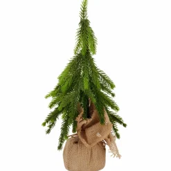 Outlet Tanneenbaum Weihnachtsbäume