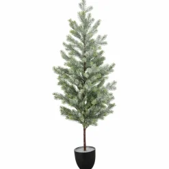 Discount Tannenbaum Weihnachtsbäume