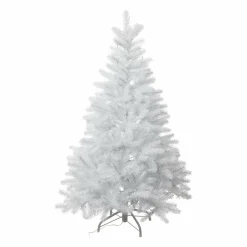 Discount Tannenbaum Black Forest|Weihnachtsbäume