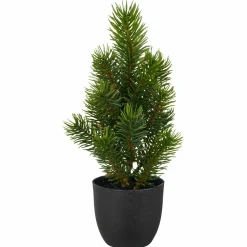 Tannenbaum Weihnachtsbäume