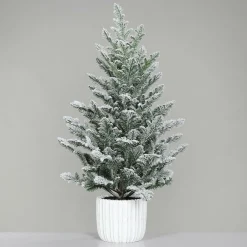 Best Tannenbaum Weihnachtsbäume